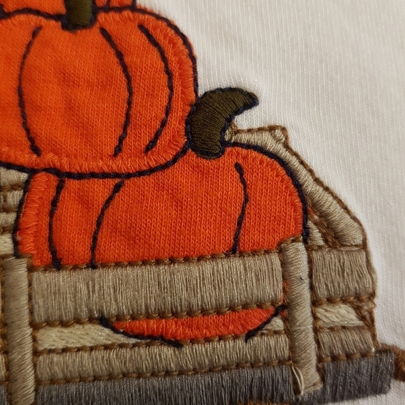 Gymboree boys size 3T pumpkin shirt - Picture 3 of 4